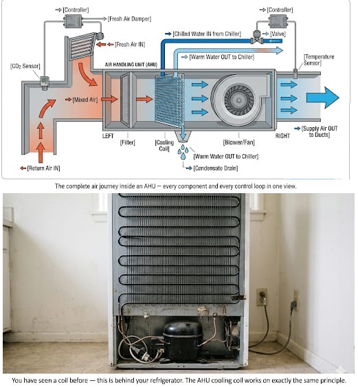 How Does an AHU Cool and Condition Air? — infographic